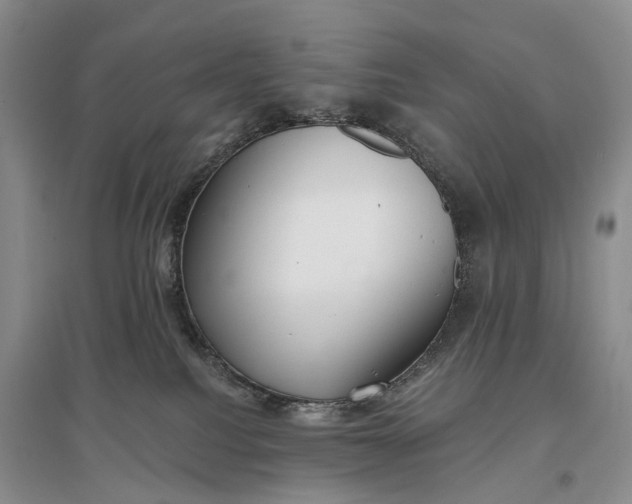 X0000097290088200802291800