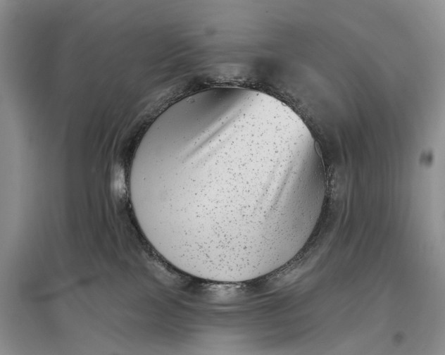 X0000097290089200802291800