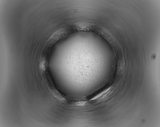 X0000097290090200802291801