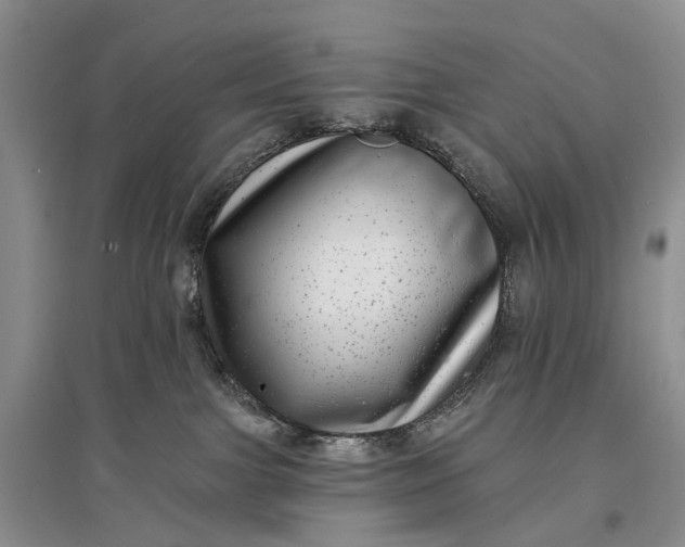 X0000097290091200802291801