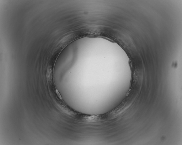 X0000097290092200802291801