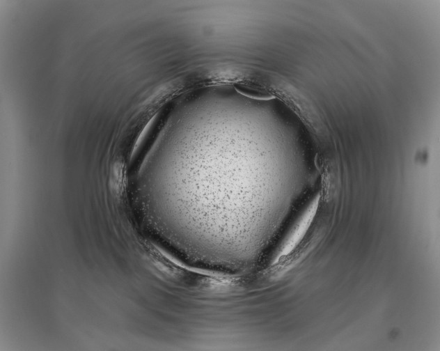 X0000097290093200802291801