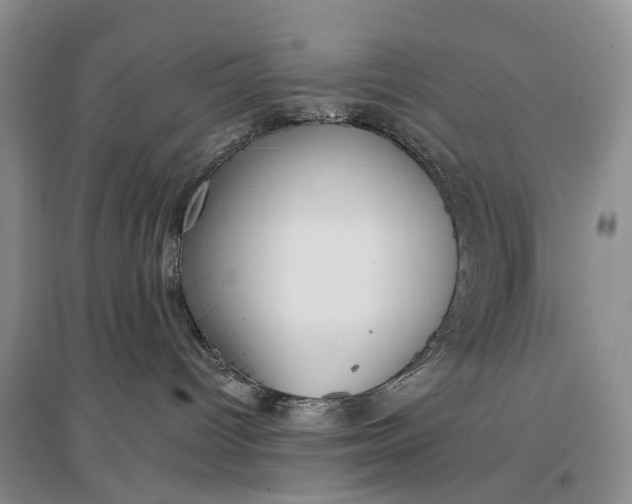 X0000097290096200802291801