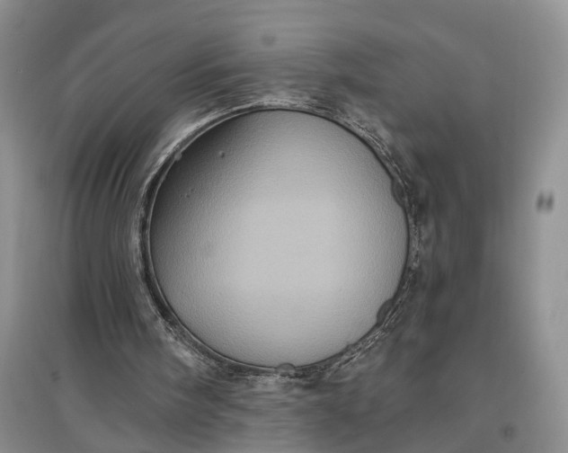 X0000097290098200802291800