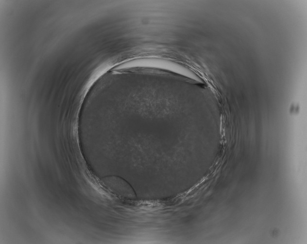 X0000097290099200802291800