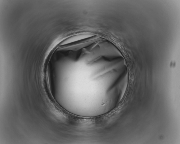 X0000097290102200802291800