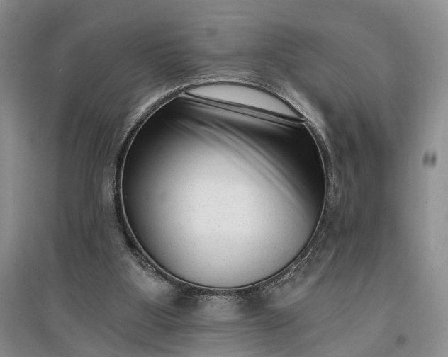X0000097290107200802291800