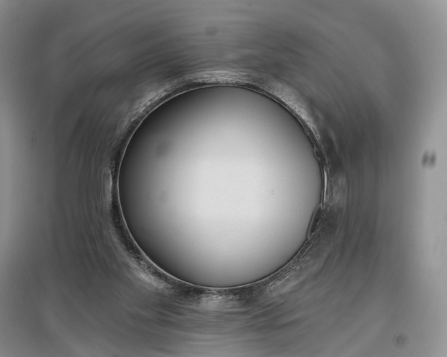 X0000097290109200802291800