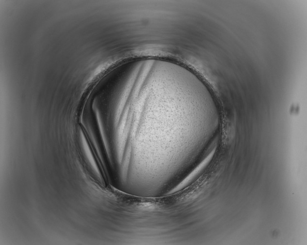 X0000097290111200802291800