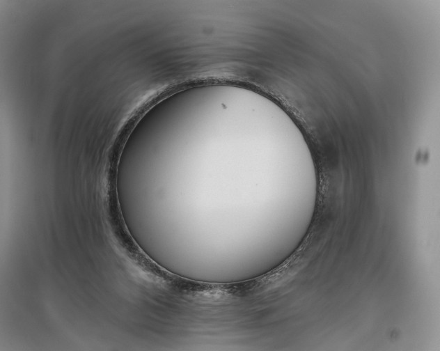 X0000097290112200802291800