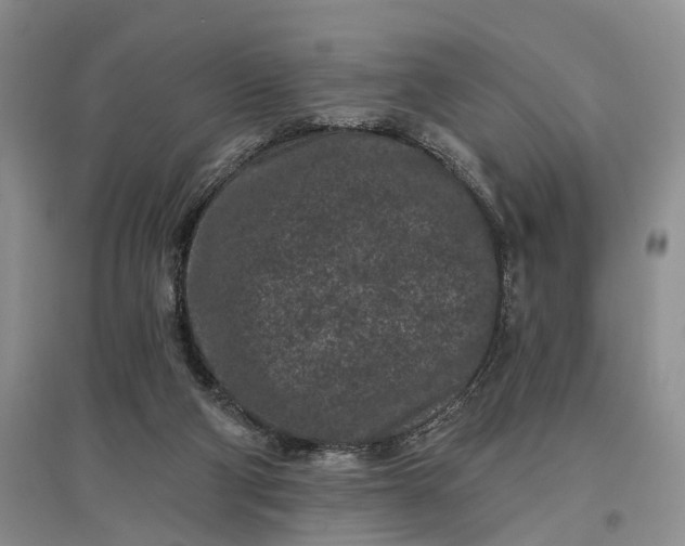 X0000097290114200802291800