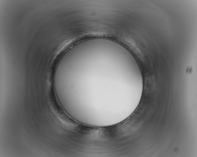 X0000097290116200802291800