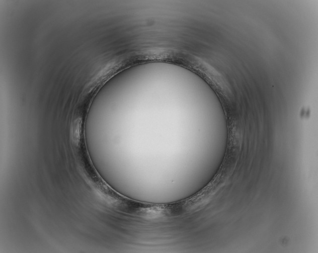 X0000097290118200802291800