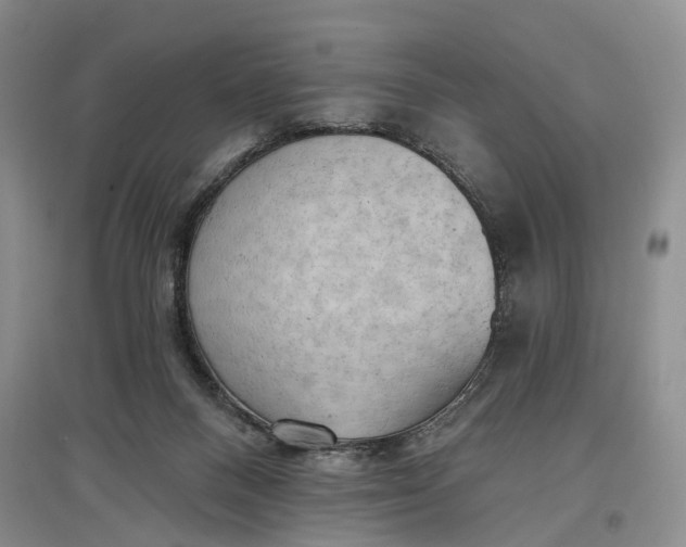 X0000097290120200802291800