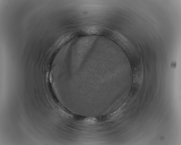 X0000097290124200802291759