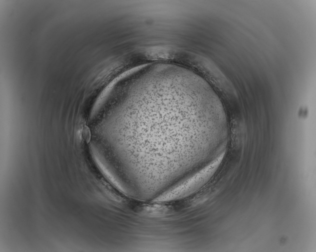 X0000097290125200802291759