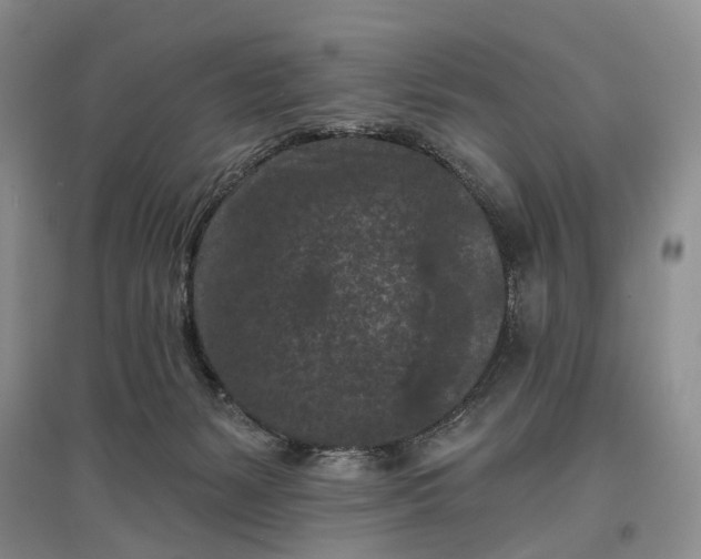 X0000097290127200802291759