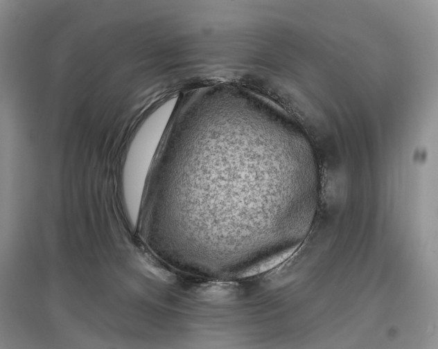 X0000097290128200802291759