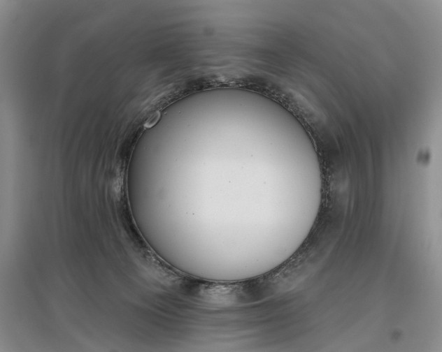 X0000097290129200802291759