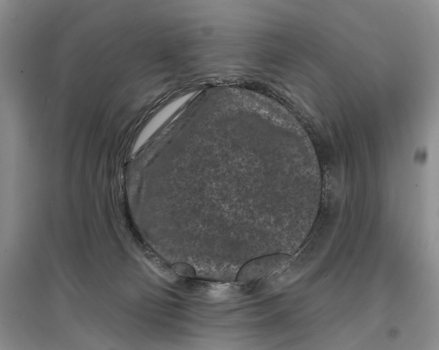 X0000097290130200802291759