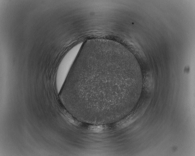 X0000097290131200802291759