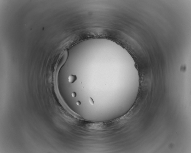 X0000097290132200802291759