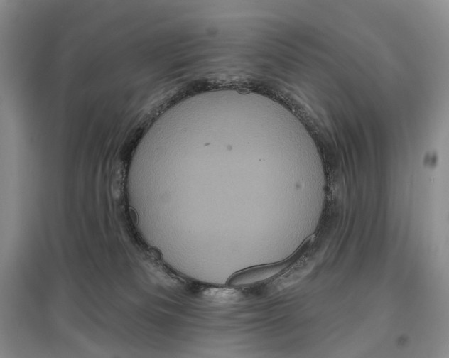 X0000097290133200802291759