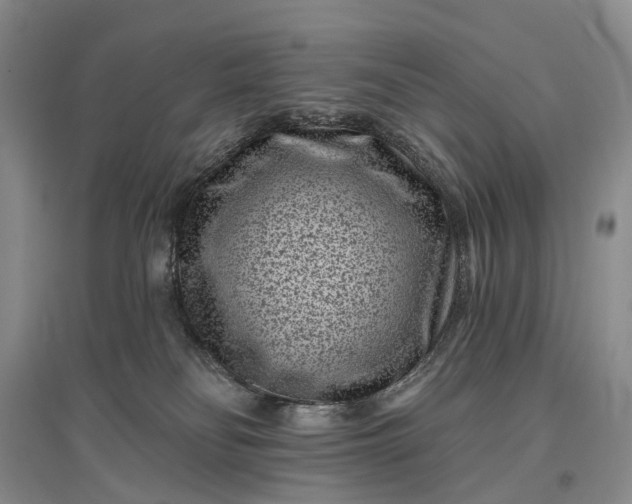 X0000097290134200802291759