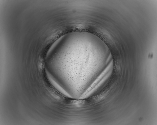 X0000097290135200802291759