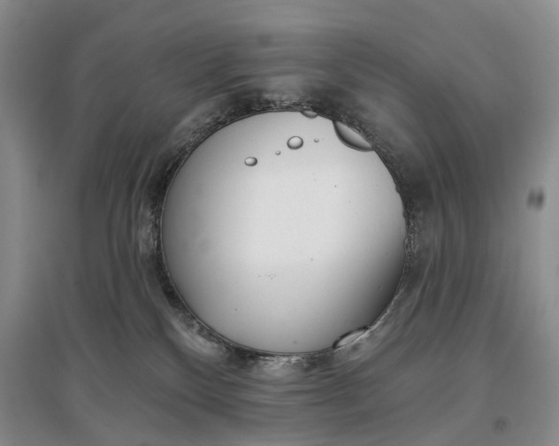 X0000097290136200802291759