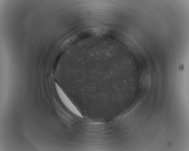 X0000097290137200802291759