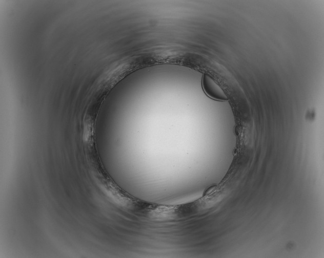 X0000097290138200802291759