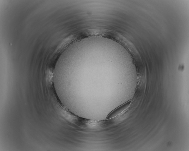 X0000097290142200802291759