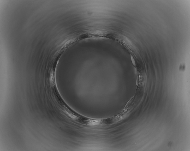 X0000097290143200802291759
