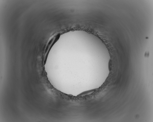 X0000097290144200802291759
