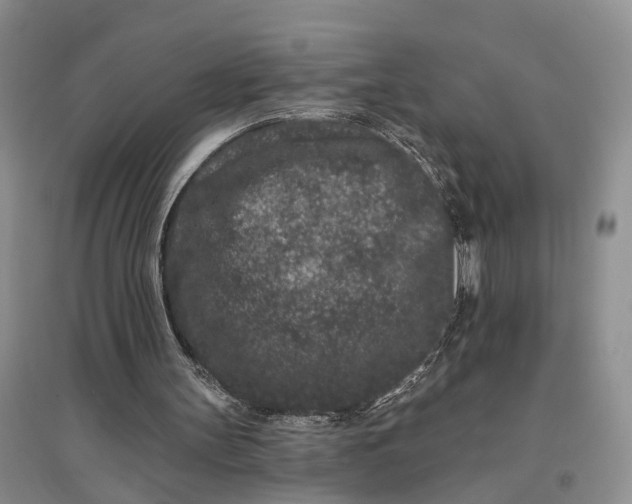 X0000097290147200802291759