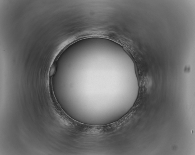 X0000097290148200802291759