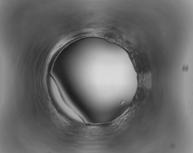 X0000097290150200802291759