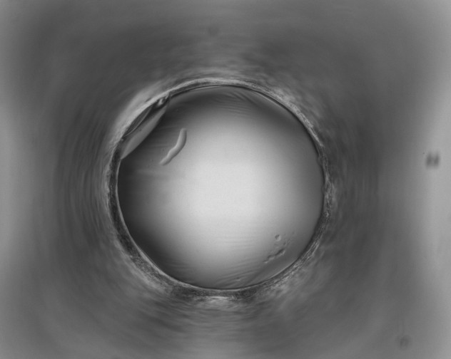 X0000097290151200802291759