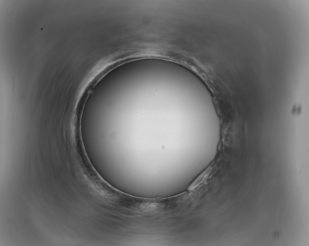 X0000097290152200802291759