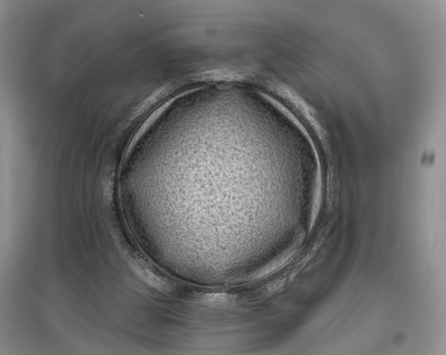 X0000097290153200802291759