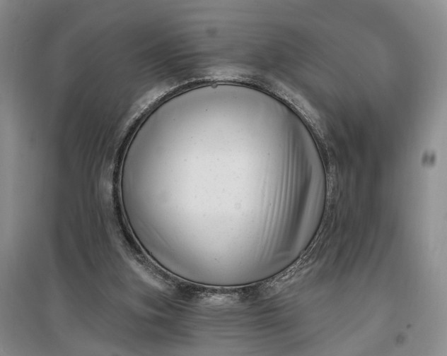 X0000097290155200802291759
