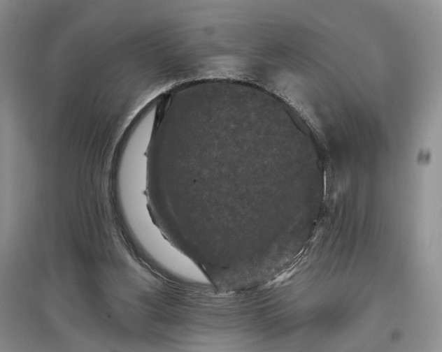 X0000097290156200802291759