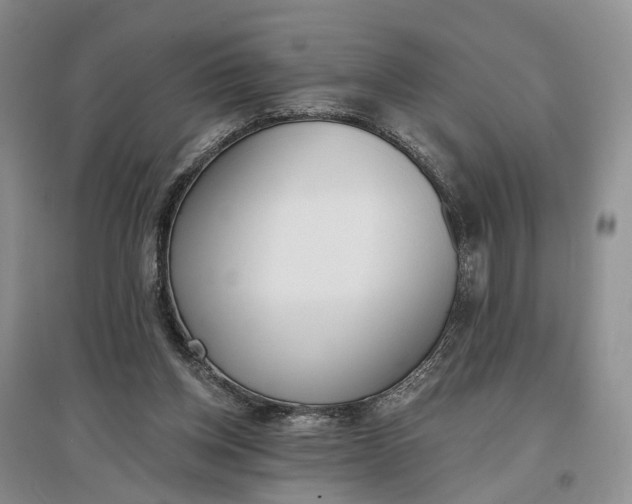 X0000097290158200802291759