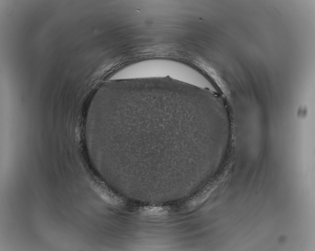 X0000097290161200802291759