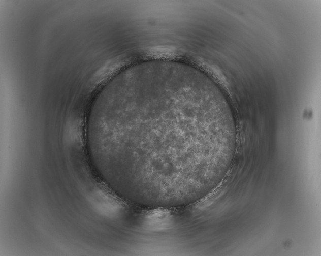 X0000097290162200802291759