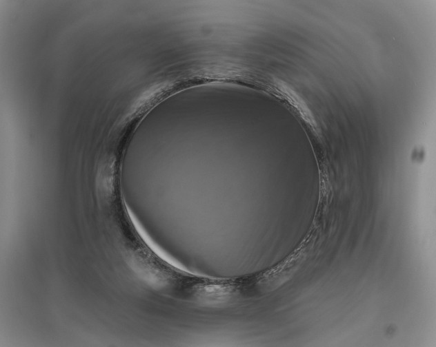 X0000097290163200802291759