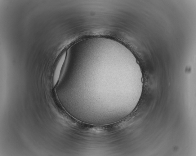X0000097290164200802291759