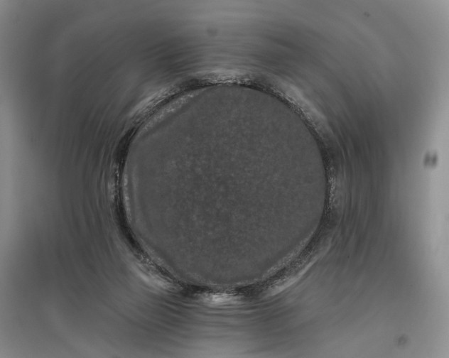 X0000097290165200802291759