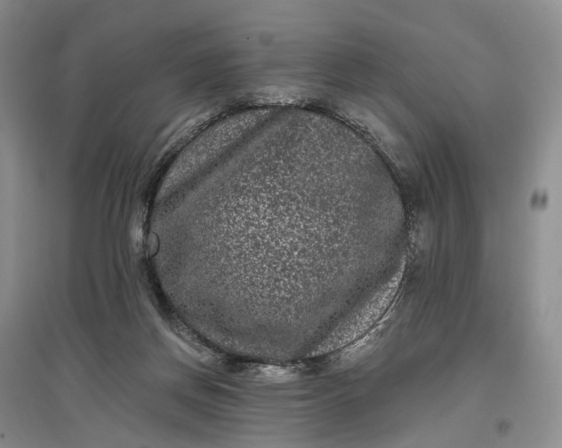 X0000097290166200802291759